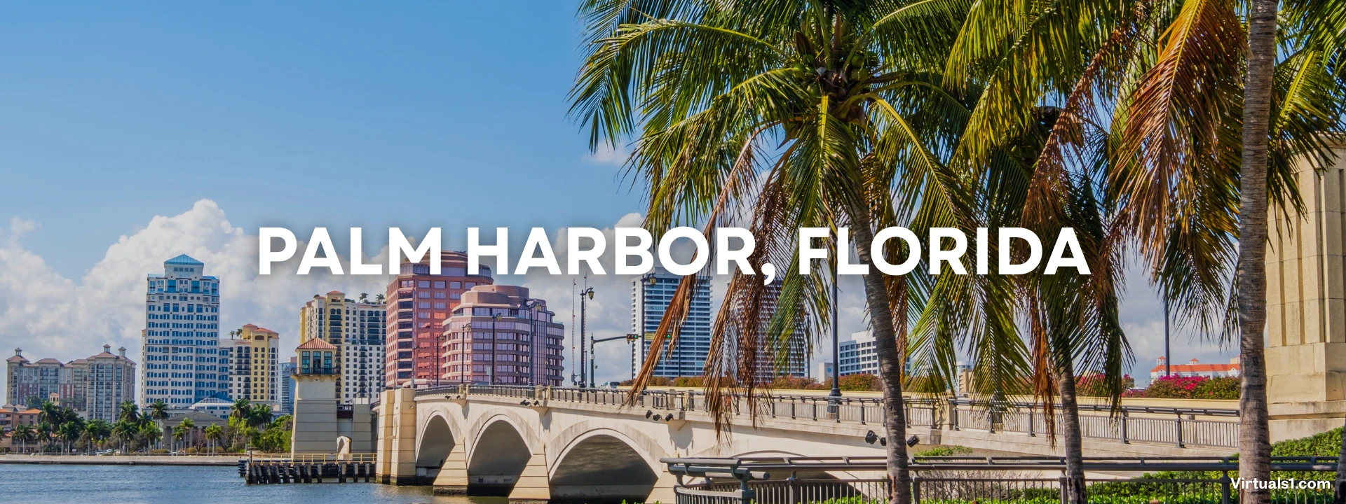 Virtuals1_PalmHarbor_FL real estate photography and video services.